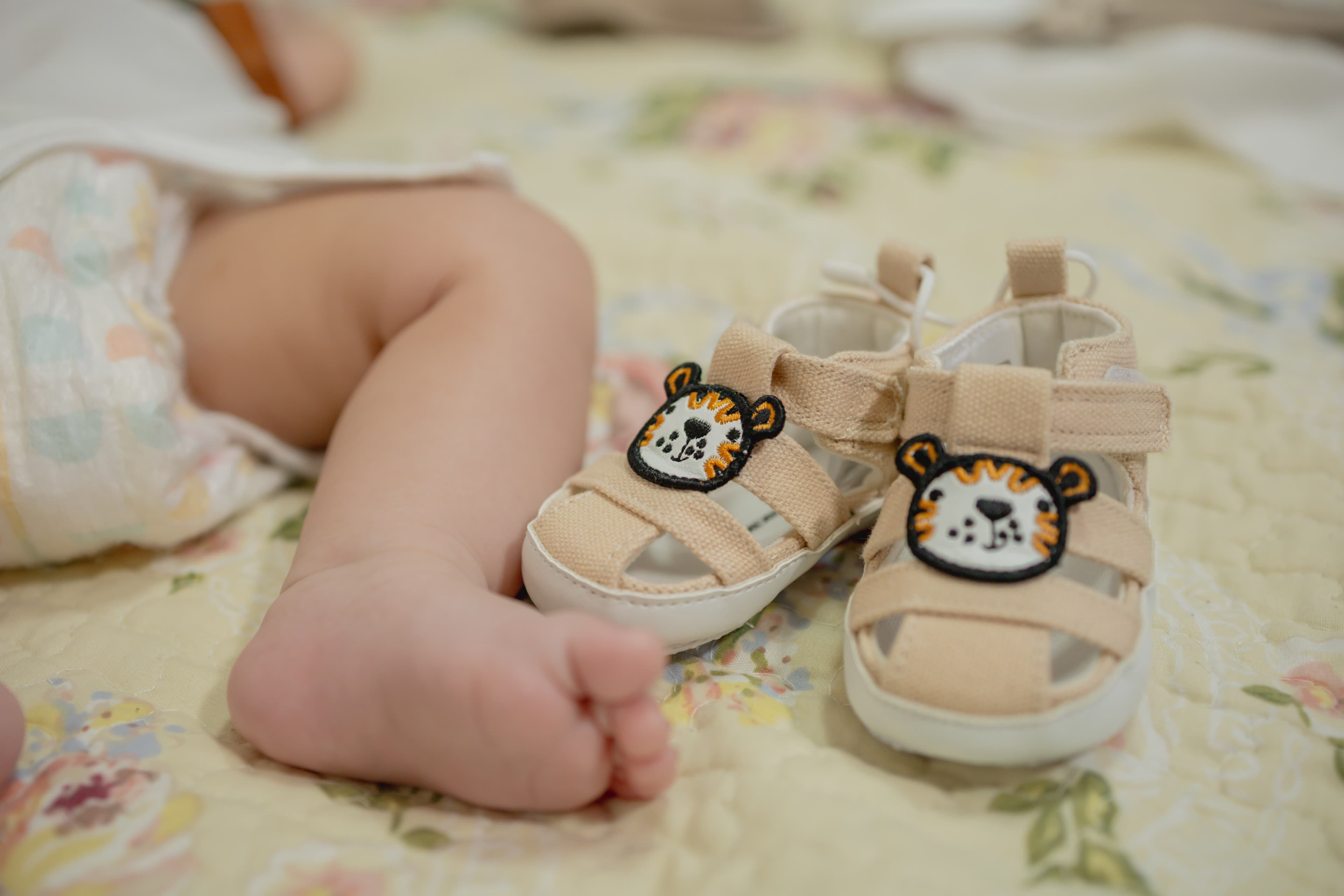 Fotograf Vâlcea - Pictoria Team - fotografie editorială în natură